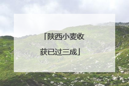 陕西小麦收获已过三成